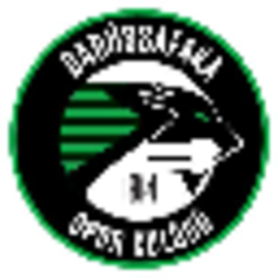 Darüşşafaka Spor Kulübü Token