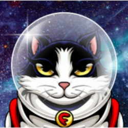 Felicette the Space Cat