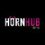 HornHub finance