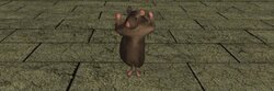 Janro The Rat