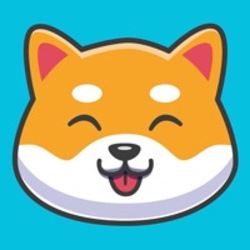 KittyShiba