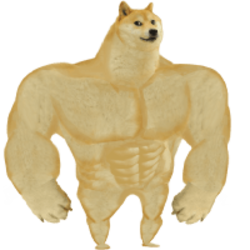 Swole Doge